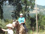 Navajo is the name of the tallest horse