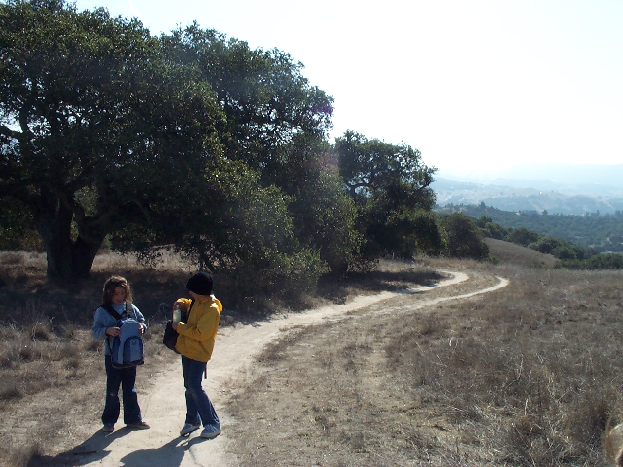 Stopping at every trail junction.