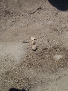 We found many bullets.  We marked the ones we found with 3 rocks to signify danger.