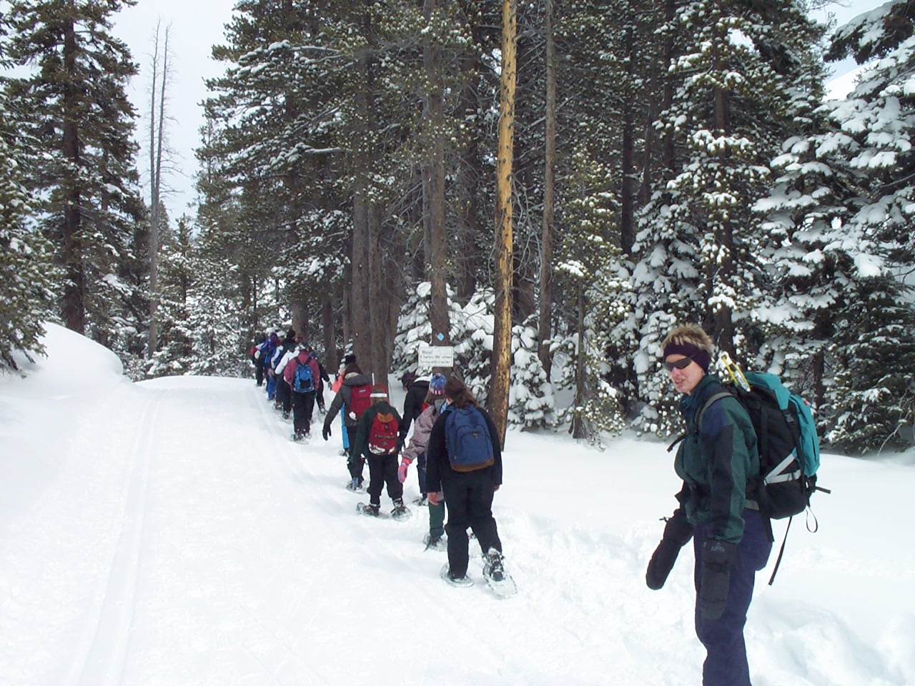 Snowshoeing beside a groomed track