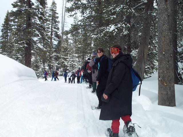 Snowshoeing beside a groomed track