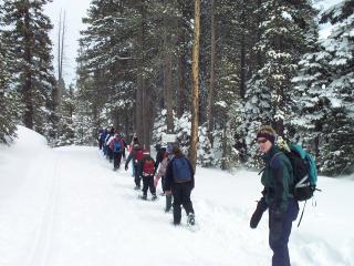 Snowshoeing beside a groomed track
