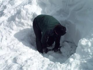 Start to dig straight into the hill.