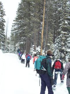Snowshoeing beside a groomed track