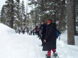 Snowshoeing beside a groomed track