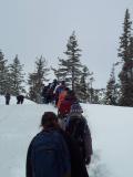 Winter wonderland
